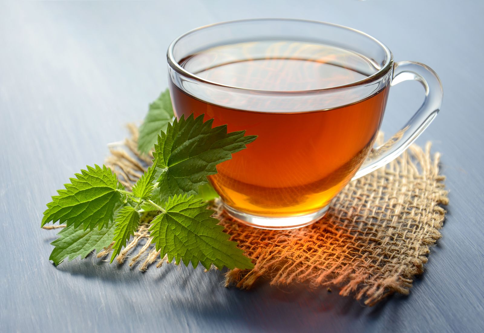Chávena de infusão de rooibos